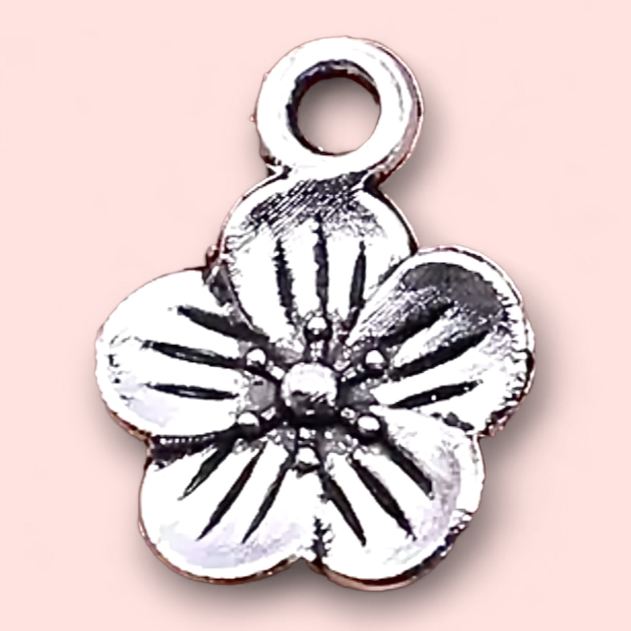 Detachable Charm