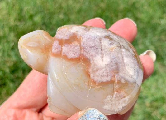 Flower Agate Turtle